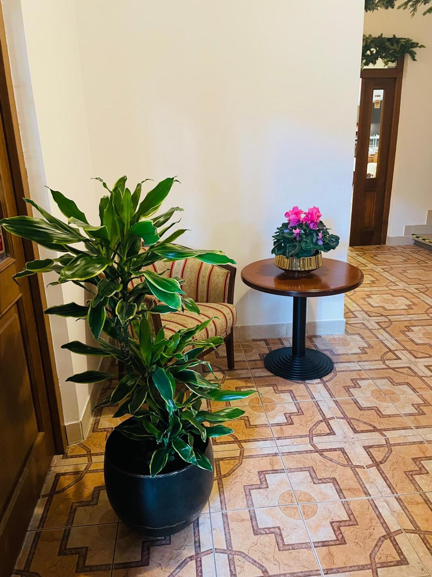 Hotel Majovey Žilina Dış mekan fotoğraf
